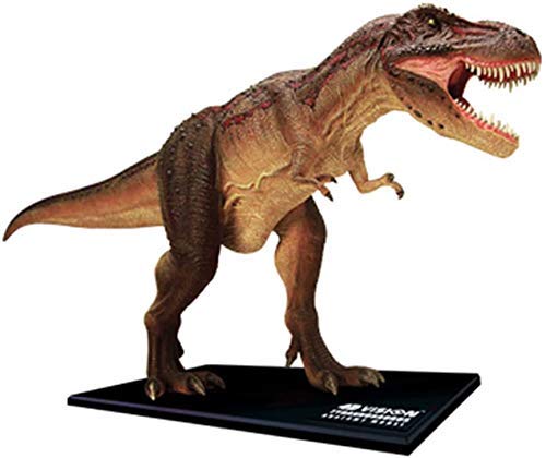 RUXMY Educación Anatómico Tyrannosaurus Rex Organ Model 4D Puzzle Assembly Toy Animales Órganos Medical Science Anatomy Model Toy para niños de 14 años en adelante