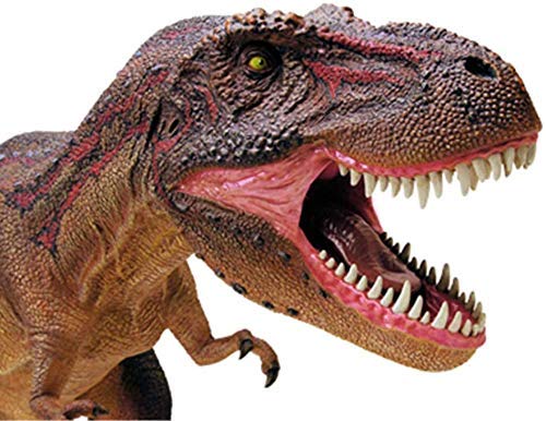 RUXMY Educación Anatómico Tyrannosaurus Rex Organ Model 4D Puzzle Assembly Toy Animales Órganos Medical Science Anatomy Model Toy para niños de 14 años en adelante