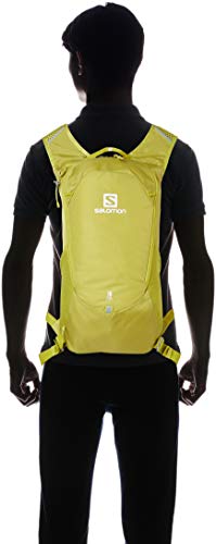 Salomon TRAILBLAZER 10 Mochila