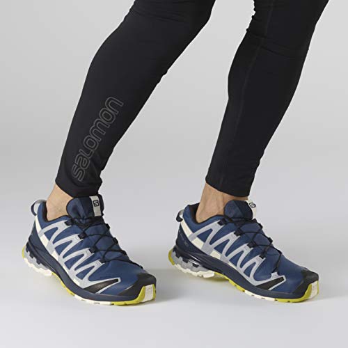 Salomon XA Pro 3D v8 GTX, Zapatillas de Trail Running para Hombre, Color: Azul (Dark Denim/Navy Blazer/Vanilla Ice), 45 1/3 EU