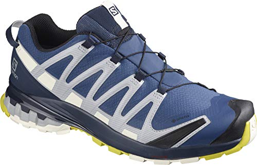 Salomon XA Pro 3D v8 GTX, Zapatillas de Trail Running para Hombre, Color: Azul (Dark Denim/Navy Blazer/Vanilla Ice), 45 1/3 EU