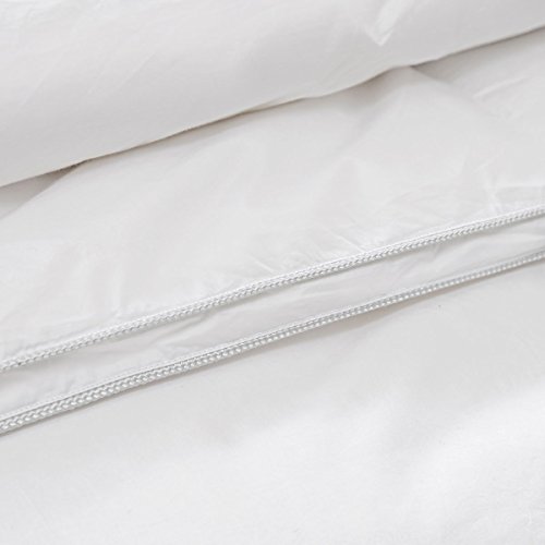 Sancarlos Relleno Nórdico Platinum, Gama Premium, 100% Plumón de Oca, Pluma Natural, Densidad 300 gr, 260 x 240 cm
