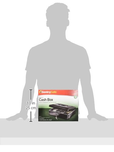 Sentry Safe - Caja de caudales (30,5 cm)