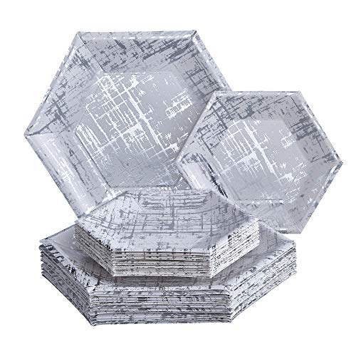 Silver Spoons Silver Vajilla Desechable para Fiestas de 36 Piezas Platos Grandes | 18 Pequeños Cartón Resistente | para Bodas y Cenas de Lujo (Colección Arctic, Paper, Plata