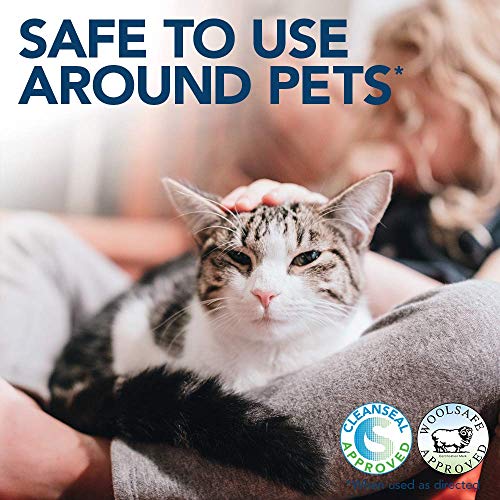 Simple Solution removedor de Manchas y olores de Gato, 4 L