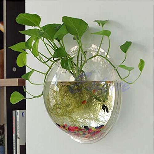 SimpleLife Pot Wall Hanging Mount Bubble Aquarium Bowl Fish Tank Acuario Decoración del Hogar