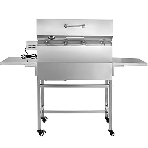 SISHUINIANHUA Superficie de cocción Gourmet Barbacoa Parrilla de carbón 337 Pulgada Cuadrada, al Aire Libre para Acampar