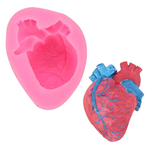 SISN Molde de silicona 3D con forma de corazón humano, para hacer mousse de helado, para Halloween, diseño de corazón sangriento rosa