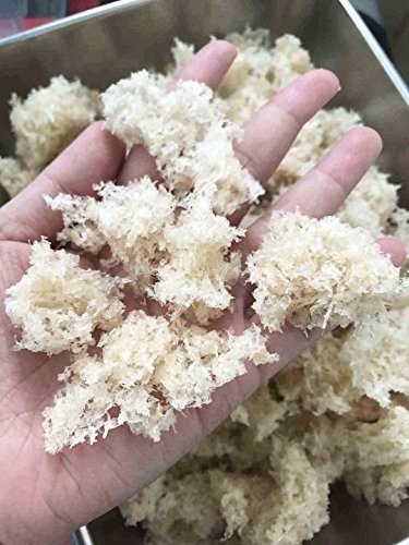 Skin and Beauty Cuisine Postres Populares Asiáticos Aplastan pequeñas piezas secas comestibles nido de pájaro nido de pájaro 100 grams