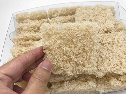 Skin and Beauty Cuisine Postres Populares Asiáticos Aplastan pequeñas piezas secas comestibles nido de pájaro nido de pájaro 100 grams