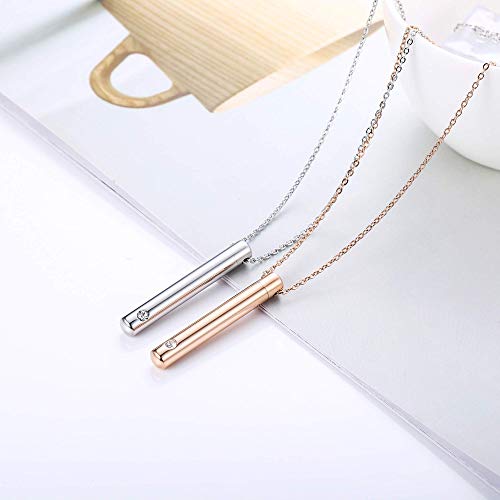 Sllaiss 2 Piezas Cristales de Joyería de Cremación de Swarovski Acero Inoxidable Rosegold Silver Tone Bar Urna Colgante Memorial Ashes Keepsake Exquisite Necklace