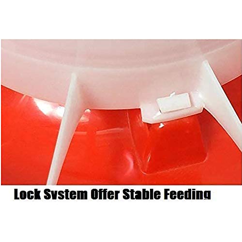 SNOWINSPRING Kit de Comedero y Bebedero para Pollitos para Aves de Corral Fuente para hasta 12 Pollitos, Asador FáCil de Limpiar, Muy PráCtico para Gallinero