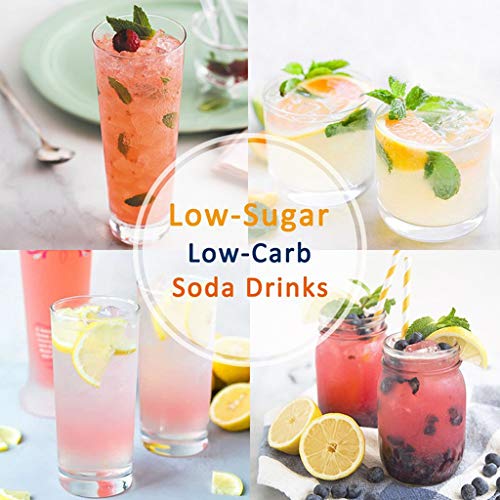 Soda Siphone, 1L Refresco Frío Fabricante De Bebidas Carbonatadas Máquina De Burbujas De Agua DIY Cóctel De CO2 Sifón De Soda Fabricante De Herramientas De La Barra,1L