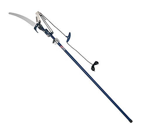 Spear & Jackson Razorsharp Podadora de árboles telescópica, 4930FZ/09, 157.5x16x6.5 cm