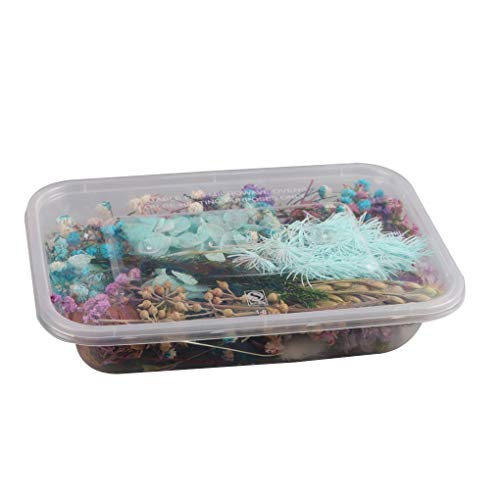 Sunlera 1 Caja Seca Material del Marco Foto de la Flor Ornamento de la Boda Decoración DIY Hecho a Mano artesanía Flor Seca Haciendo Color al Azar