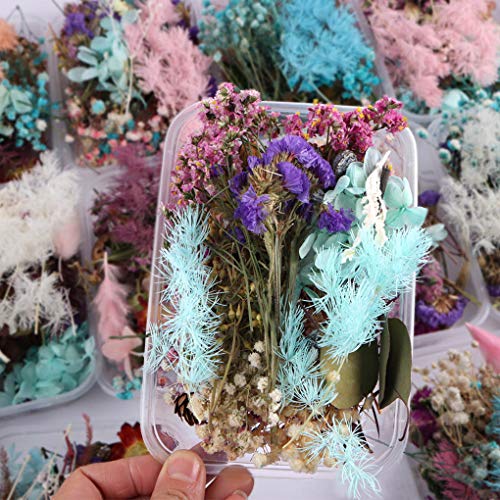 Sunlera 1 Caja Seca Material del Marco Foto de la Flor Ornamento de la Boda Decoración DIY Hecho a Mano artesanía Flor Seca Haciendo Color al Azar