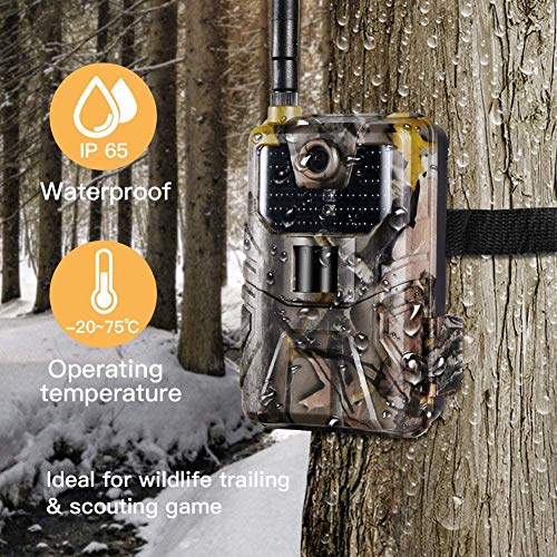 Suntekcam - Cámara de fotos 3G (MMS/SMTP, 20 MP, 1080P, impermeable, IP66, para Trail Camera, visión nocturna, invisible, máquinas fotográficas de caza (tarjeta SD incluida)-900G