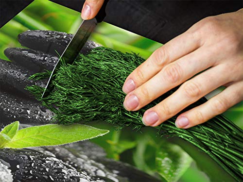 Tabla de cortar decorativa de cristal templado y cubre vitro – Dos en Uno – Resistente a golpes y arañazos – UNA PIEZA (60 x 52 cm) o DOS PIEZAS (30 x 52 cm); D08 Serie Naturaleza: Bambú con piedras
