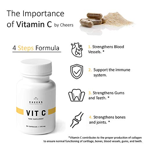 Tabletas Naturales de Vitamina C (333mg) - Suplemento de Vitamina C de Mayor Absorción - Origen Vegetal - 90 cápsulas Veganas - Ácido Ascórbico con Cítricos BioFlavonoides, Selenio, ácido Elágico