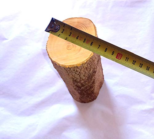 Taco o tronco pequeño en madera de boj, ideal para bricolaje, tallados y torneados