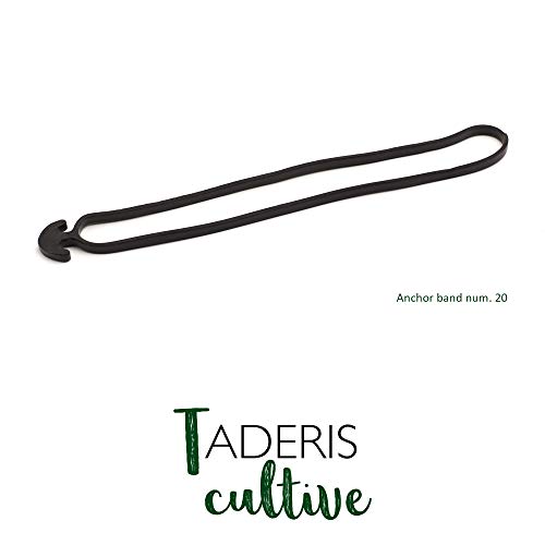 Taderis Cultive Goma Ancla elástica número 20 para entutorar. Bolsa 125 Unidades. Caucho EPDM