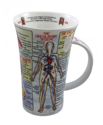 Teegalerie Anno 1773 Dunoon Taza Fine Bone China Porcelana Body Works