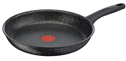 Tefal Everest - Sartén con termopote, aluminio, efecto piedra, 32 cm