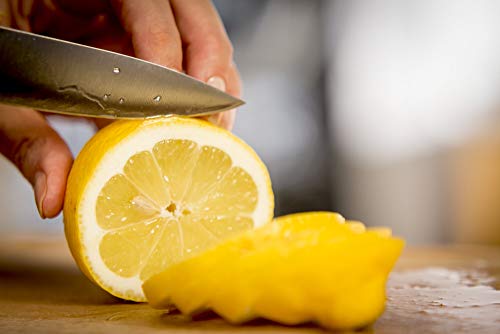 Tefal Ingenio Ice Cuchillo pelador, acero cepillado, cuchillo de una sola pieza, mango remachado, negro, 9 cm