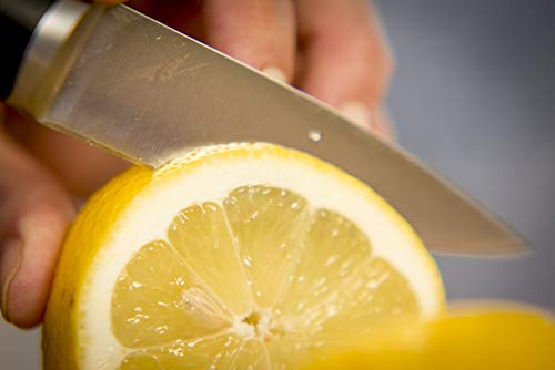 Tefal Ingenio Ice Cuchillo pelador, acero cepillado, cuchillo de una sola pieza, mango remachado, negro, 9 cm