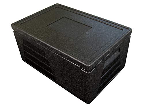 Termo profesional, recipiente térmico, caja aislante, nevera GN 1/1 con 230 mm de altura útil