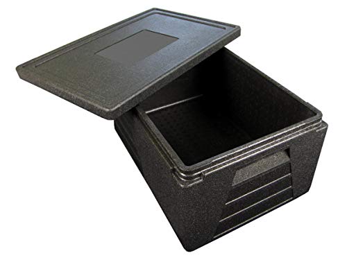Termo profesional, recipiente térmico, caja aislante, nevera GN 1/1 con 230 mm de altura útil