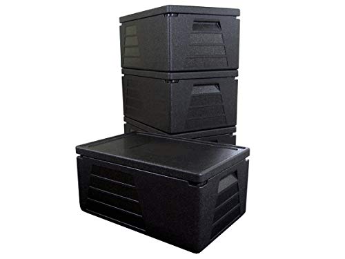 Termo profesional, recipiente térmico, caja aislante, nevera GN 1/1 con 230 mm de altura útil