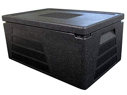 Termo profesional, recipiente térmico, caja aislante, nevera GN 1/1 con 230 mm de altura útil