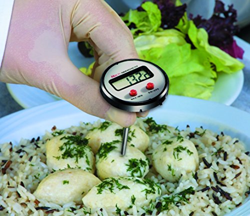 Testo 0560 1110 - Minitermómetro con pincho hasta 150 °C (133 mm, con funda protectora para tubo sensor, pantalla de lectura, con pilas)