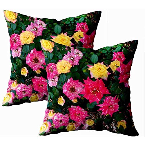 Throw Pillow Covers Lovely Collection Miniature End Roses Sofá Librería Tienda De Vacaciones Personalizada Hospital Home Hostel Acogedor 45X45Cm 2Pc Cremallera Funda De Almohada F