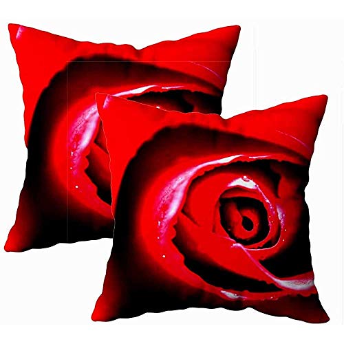 Throw Pillow Covers Macro Red Rose 45X45Cm 2Pc Librería Librería Casa De Vacaciones Funda De Cojín Hospital Hostel Sofá Acogedor Cremallera Personalizada Funda De Almohada Fundas