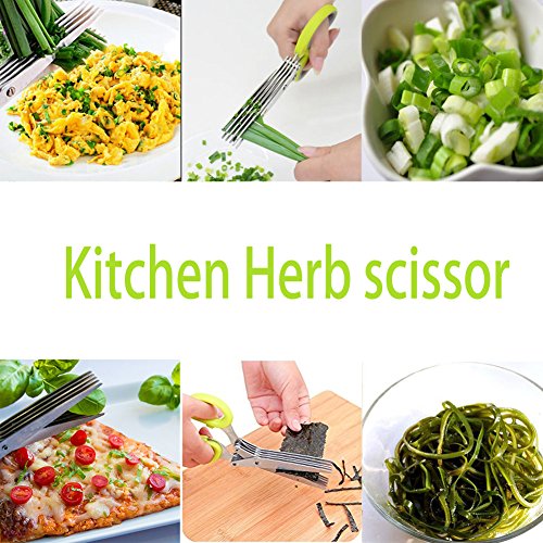 Tijeras para cortar especias (herramienta de cocina) herb scissor
