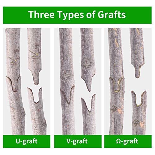 Timker Jardín Injerto Kit Profesional Podadora Cortar Tijeras Jardinería Herramienta de Injertar con 3 Cuchillas Corte de Forma V/U/Ω para Frutas/Flores/Algodón Pruner Herramientas de Corte Carraca