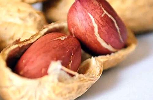 Tinrel Crema de cacahuete, apto para veganos