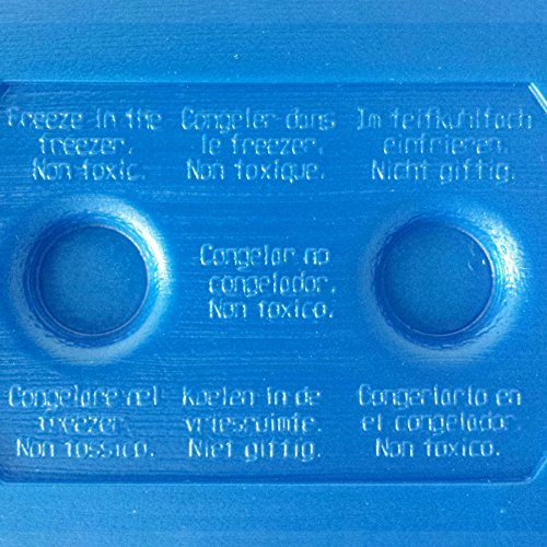 ToCi – Juego de 4 por 800 g plano nevera Acumuladores Ice Pack Hielo isotasche