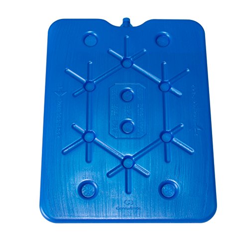ToCi – Juego de 4 por 800 g plano nevera Acumuladores Ice Pack Hielo isotasche
