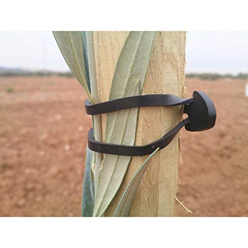 Todo Cultivo Goma Ancla Elastica nº 5 para entutorar. 500 uds. Caucho EPDM (máxima Elasticidad y duración)