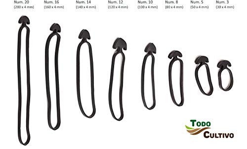 Todo cultivo Goma Ancla Elastica nº 8 para entutorar. 300 Unidades. Caucho EPDM (máxima Elasticidad y duración)