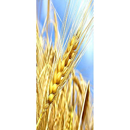 Trigo de oro Etiqueta de la pared PVC arte europeo hogar decoración mural visual autoadhesivo calcomanía día de fiesta bricolaje 90X200CM