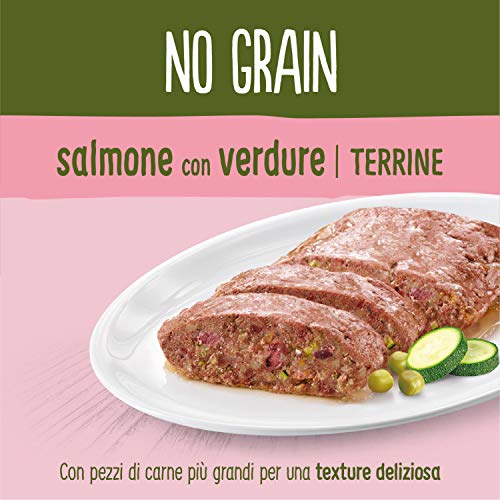 True Instinct No Grain Terrina para Perros Medium-Maxi Adult con Salmón y Verduras - 8 x 300 gr