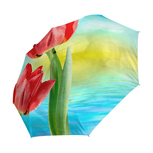 Tulip Flowers Paraguas Plegable para Cerrar y Cerrar, Resistente al Viento, a la Lluvia, automático, con Cierre Abierto, protección UV para Mujeres y Hombres