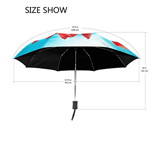Tulip Flowers Paraguas Plegable para Cerrar y Cerrar, Resistente al Viento, a la Lluvia, automático, con Cierre Abierto, protección UV para Mujeres y Hombres