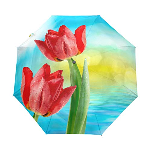Tulip Flowers Paraguas Plegable para Cerrar y Cerrar, Resistente al Viento, a la Lluvia, automático, con Cierre Abierto, protección UV para Mujeres y Hombres