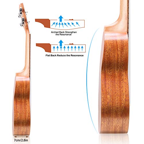 Ukelele, Hricane Ukeleles Soprano 21 Pulgadas Instrumento de Caoba, Ukulele Profesional para Principiantes …