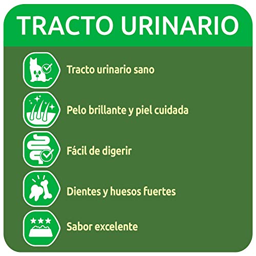 Ultima Pienso para Gatos Problemas del Tracto Urinario - 3 kg